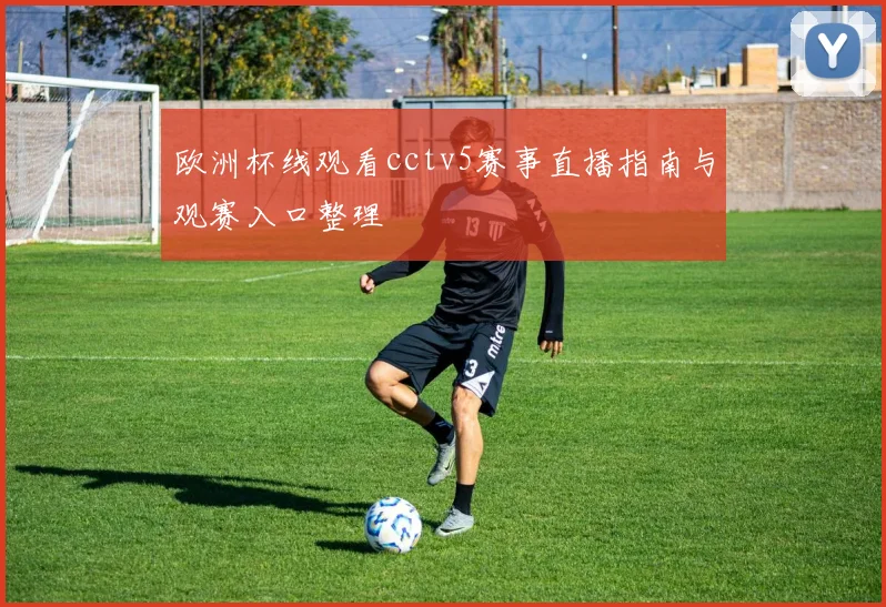 欧洲杯线观看cctv5赛事直播指南与观赛入口整理