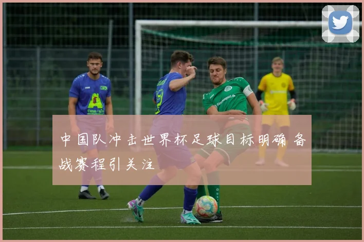 中国队冲击世界杯足球目标明确 备战赛程引关注