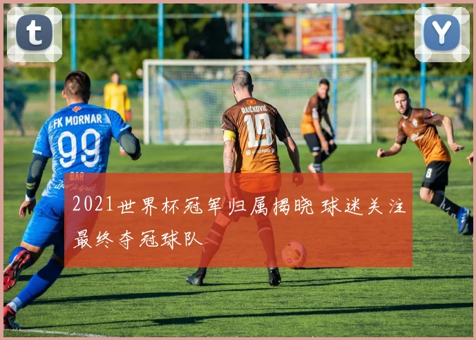 2021世界杯冠军归属揭晓 球迷关注最终夺冠球队